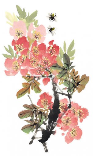 近现代 佚名 花卉图册J173-69-国画百花争艳261[花鸟