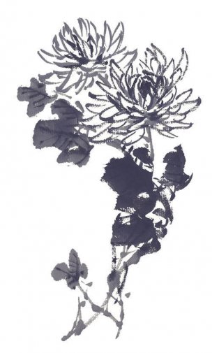 近现代 佚名 花卉图册J173-69-国画百花争艳202[花鸟