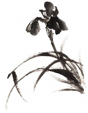 近现代 佚名 花卉图册J173-69-国画百花争艳243[花鸟