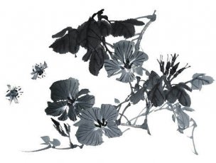 近现代 佚名 花卉图册J173-69-国画百花争艳232[花鸟