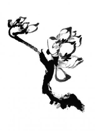 近现代 佚名 花卉图册J173-69-国画百花争艳207[花鸟