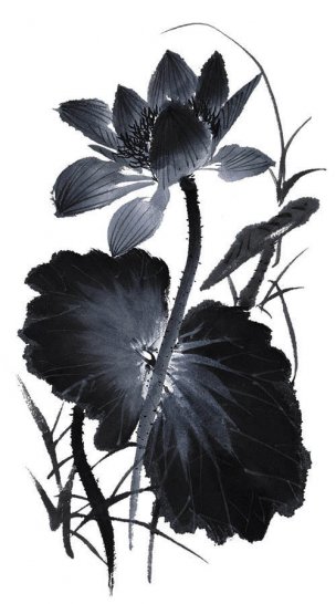 近现代 佚名 花卉图册J173-69-国画百花争艳223[花鸟