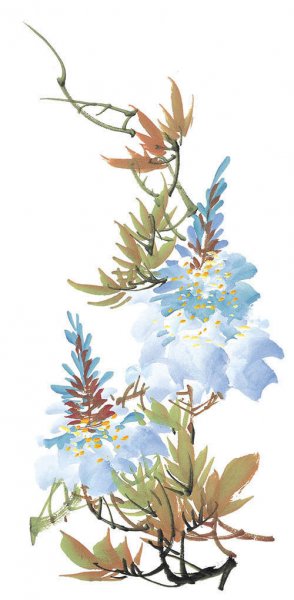 近现代 佚名 花卉图册J173-69-国画百花争艳262[花鸟