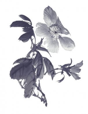 近现代 佚名 花卉图册J173-69-国画百花争艳199[花鸟