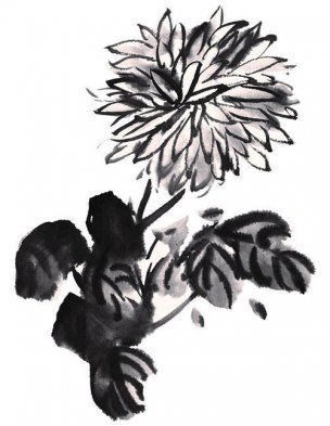 近现代 佚名 花卉图册J173-69-国画百花争艳228[花鸟