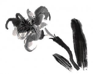 近现代 佚名 花卉图册J173-69-国画百花争艳214[花鸟
