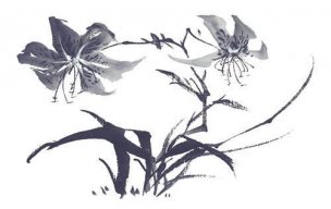 近现代 佚名 花卉图册J173-69-国画百花争艳201[花鸟