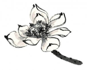 近现代 佚名 花卉图册J173-69-国画百花争艳229[花鸟