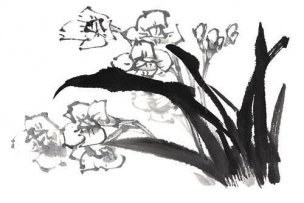 近现代 佚名 花卉图册J173-69-国画百花争艳209[花鸟