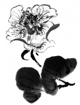 近现代 佚名 花卉图册J173-69-国画百花争艳206[花鸟