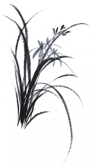 近现代 佚名 花卉图册J173-69-国画百花争艳219[花鸟