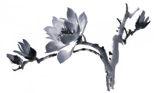 近现代 佚名 花卉图册J173-69-国画百花争艳217[花鸟