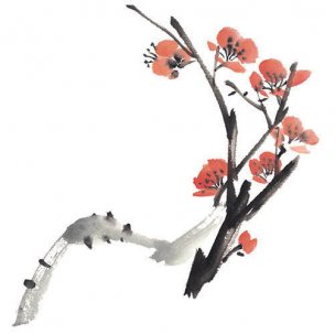 近现代 佚名 花卉图册J173-69-国画百花争艳21[花鸟