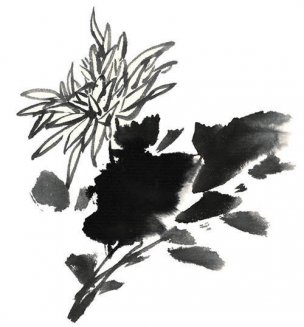 近现代 佚名 花卉图册J173-69-国画百花争艳231[花鸟