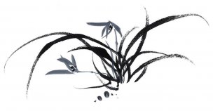 近现代 佚名 花卉图册J173-69-国画百花争艳226[花鸟