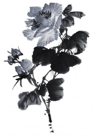 近现代 佚名 花卉图册J173-69-国画百花争艳221[花鸟