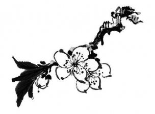 近现代 佚名 花卉图册J173-69-国画百花争艳208[花鸟