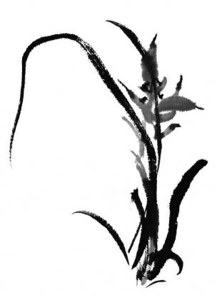 近现代 佚名 花卉图册J173-69-国画百花争艳205[花鸟