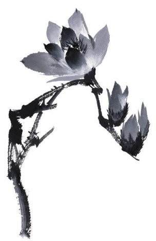 近现代 佚名 花卉图册J173-69-国画百花争艳216[花鸟