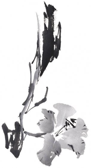 近现代 佚名 花卉图册J173-69-国画百花争艳175[花鸟