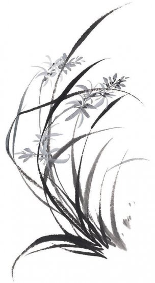 近现代 佚名 花卉图册J173-69-国画百花争艳169[花鸟