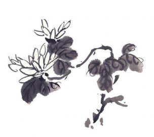 近现代 佚名 花卉图册J173-69-国画百花争艳187[花鸟