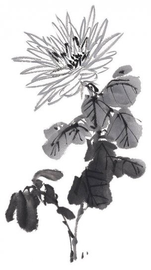 近现代 佚名 花卉图册J173-69-国画百花争艳170[花鸟