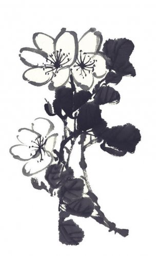 近现代 佚名 花卉图册J173-69-国画百花争艳168[花鸟