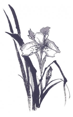 近现代 佚名 花卉图册J173-69-国画百花争艳192[花鸟