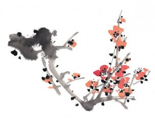 近现代 佚名 花卉图册J173-69-国画百花争艳18[花鸟