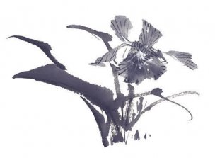 近现代 佚名 花卉图册J173-69-国画百花争艳195[花鸟