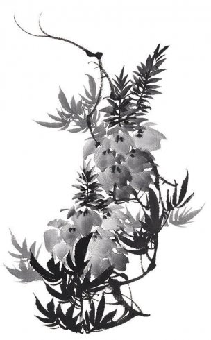 近现代 佚名 花卉图册J173-69-国画百花争艳178[花鸟