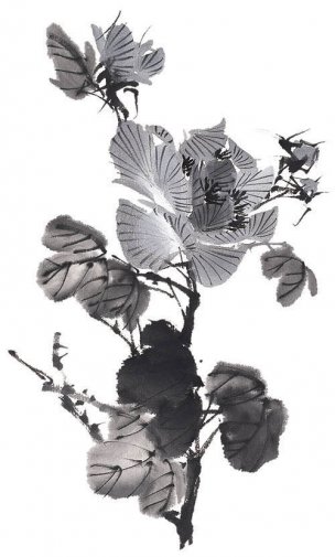 近现代 佚名 花卉图册J173-69-国画百花争艳171[花鸟