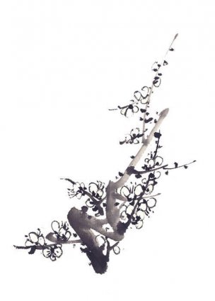 近现代 佚名 花卉图册J173-69-国画百花争艳183[花鸟