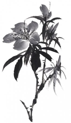 近现代 佚名 花卉图册J173-69-国画百花争艳167[花鸟