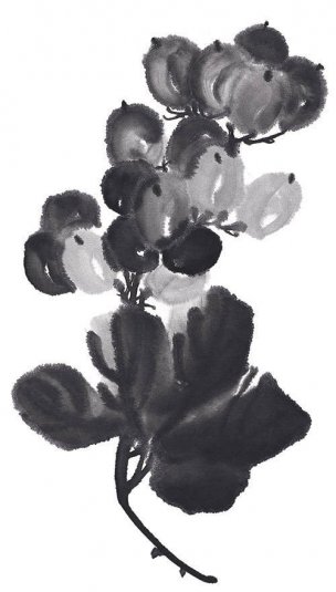 近现代 佚名 花卉图册J173-69-国画百花争艳181[花鸟