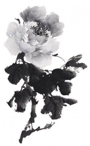 近现代 佚名 花卉图册J173-69-国画百花争艳177[花鸟