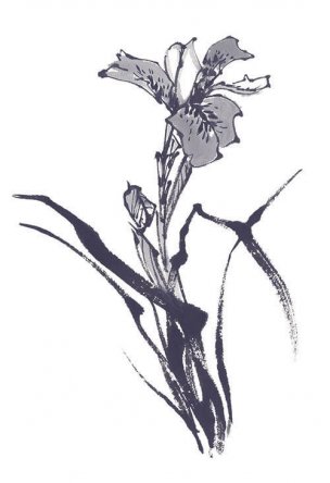近现代 佚名 花卉图册J173-69-国画百花争艳190[花鸟