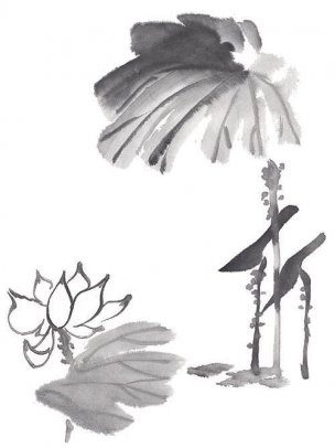 近现代 佚名 花卉图册J173-69-国画百花争艳193[花鸟