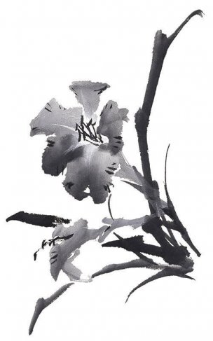 近现代 佚名 花卉图册J173-69-国画百花争艳174[花鸟