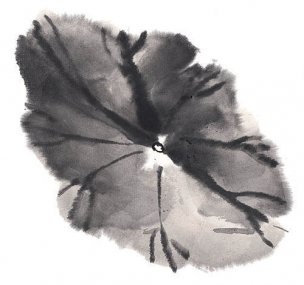 近现代 佚名 花卉图册J173-69-国画百花争艳191[花鸟