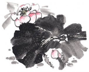 近现代 佚名 花卉图册J173-69-国画百花争艳188[花鸟