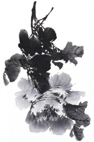 近现代 佚名 花卉图册J173-69-国画百花争艳173[花鸟