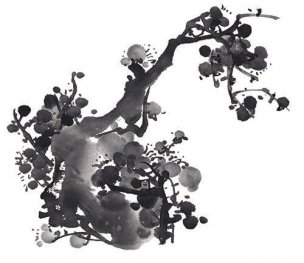 近现代 佚名 花卉图册J173-69-国画百花争艳189[花鸟