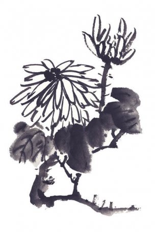 近现代 佚名 花卉图册J173-69-国画百花争艳185[花鸟