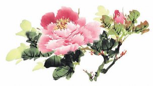 近现代 佚名 花卉图册J173-69-国画百花争艳145[花鸟