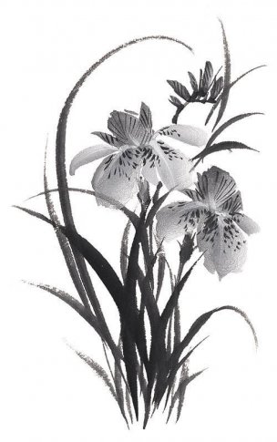 近现代 佚名 花卉图册J173-69-国画百花争艳179[花鸟