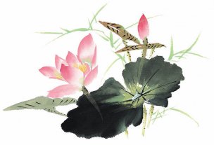 近现代 佚名 花卉图册J173-69-国画百花争艳139[花鸟