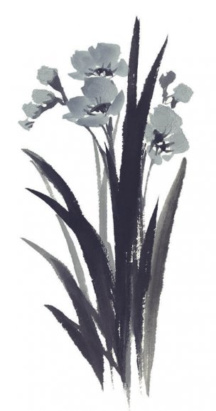 近现代 佚名 花卉图册J173-69-国画百花争艳176[花鸟