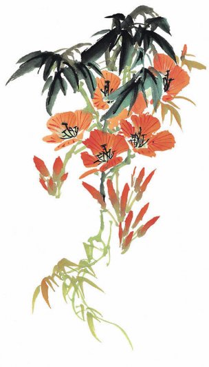 近现代 佚名 花卉图册J173-69-国画百花争艳137[花鸟
